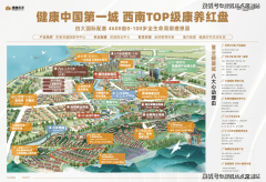 同家庭的糊口抱负