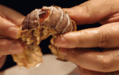 会烟台多控制熟练的剥爬虾技巧（拧断尾部后